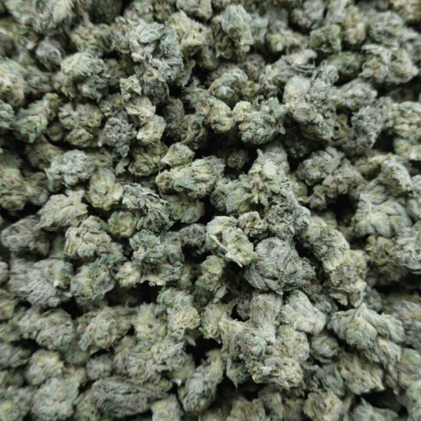 Lemon Cherry Gas Smalls - Image 2
