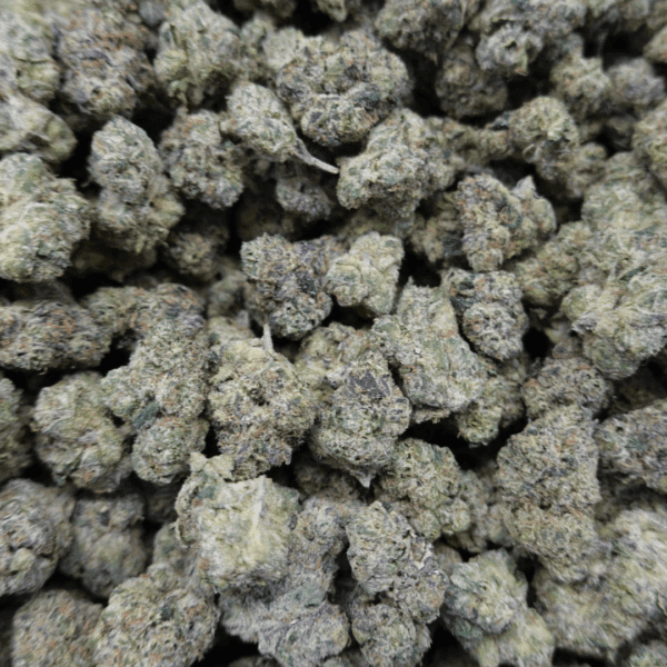 K1 Mediums - Image 2