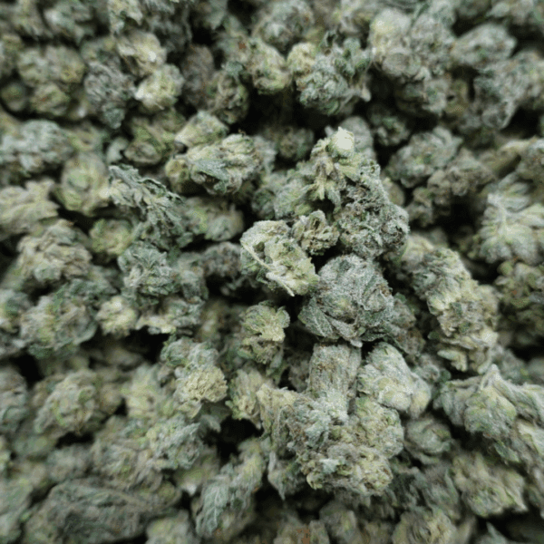 Lemon Cherry Gas Smalls - Image 3