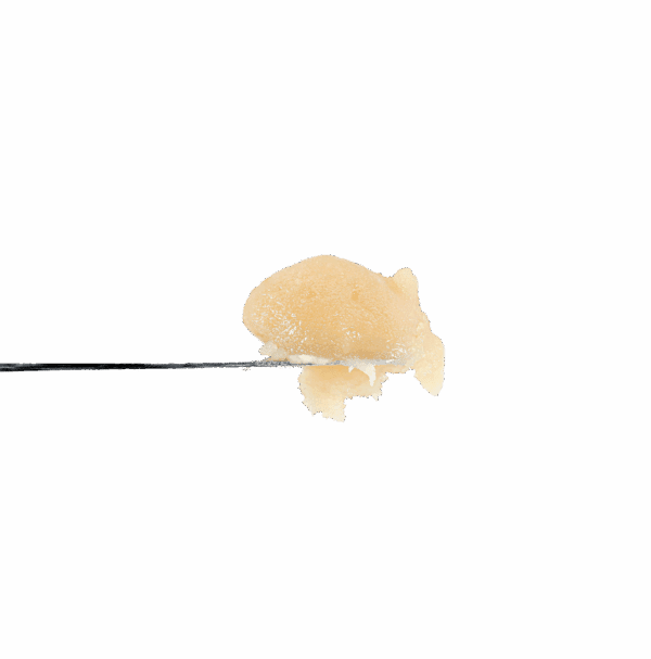 Ambrosia Beltz Rosin