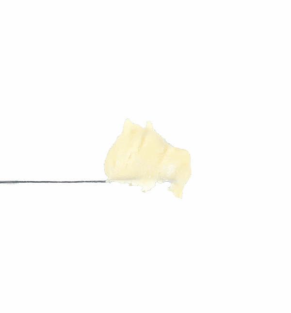 Banana Sherbet Rosin