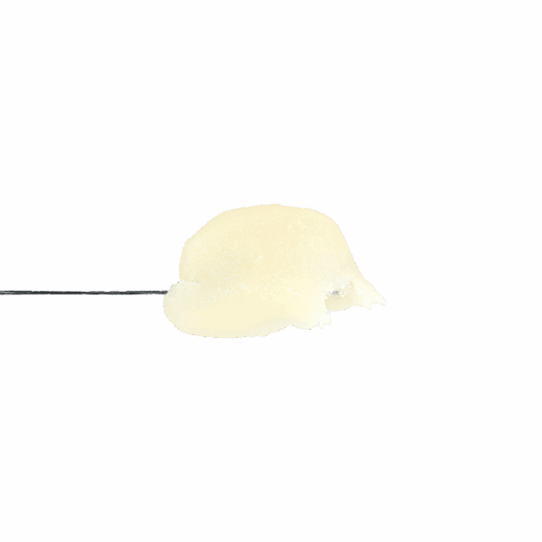 GMO Rosin