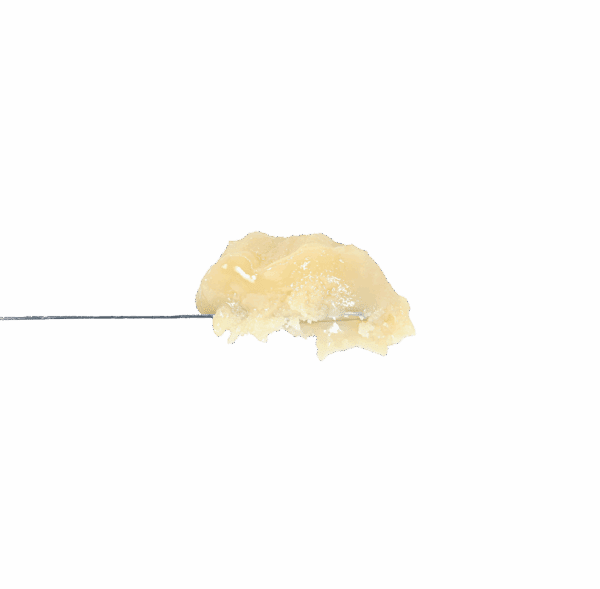 Grapefruit Z Rosin