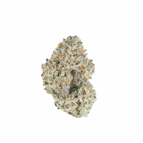 Grapefruit Z