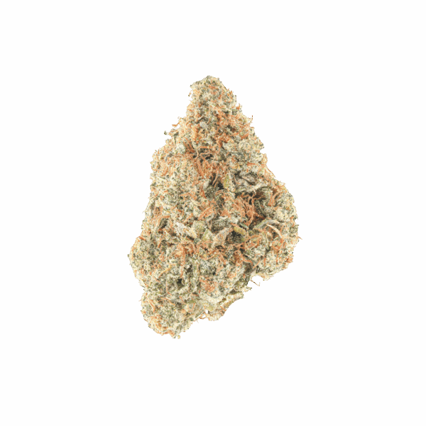 Lemon Tree