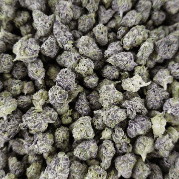 Black Cherry Gelato Smalls - Image 2