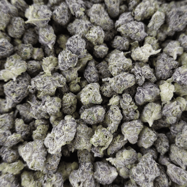 Black Cherry Gelato Smalls - Image 3