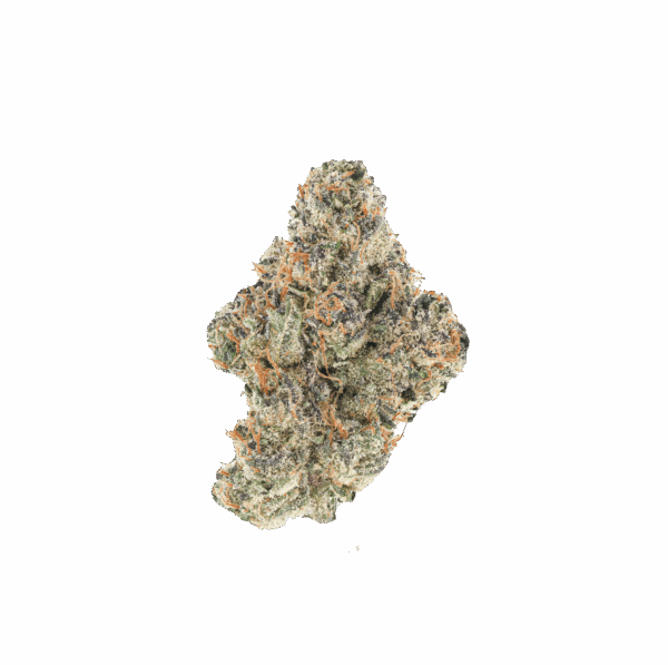 Bubblegum Gelato