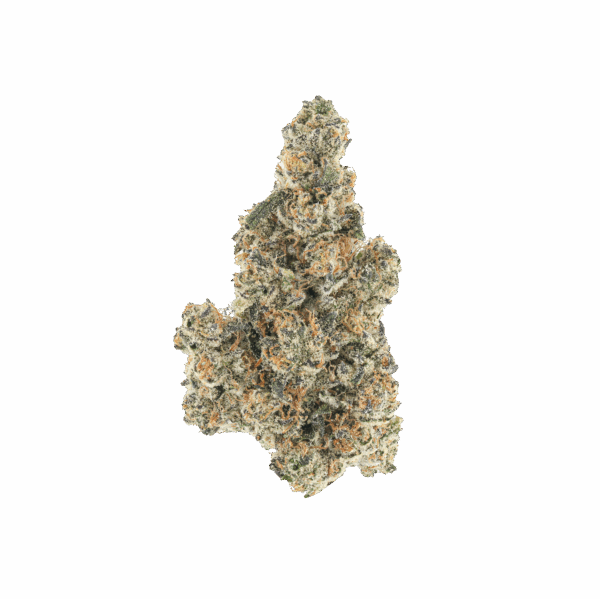 Pure Michigan