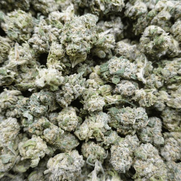 Lemon Cookies Smalls - Image 2