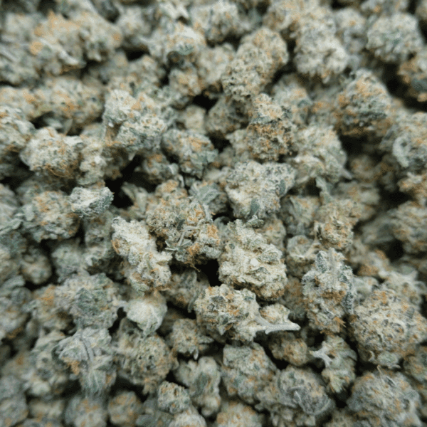 Grape Pie x Dosidos Smalls - Image 2