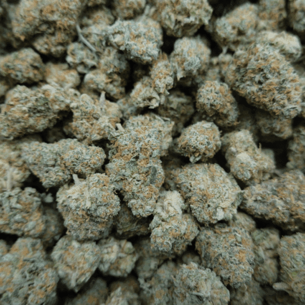 Rainbow Guava Mediums - Image 2