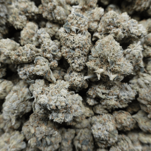 Skywalker Mediums - Image 2