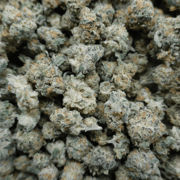 Grape Pie x Dosidos Smalls - Image 3