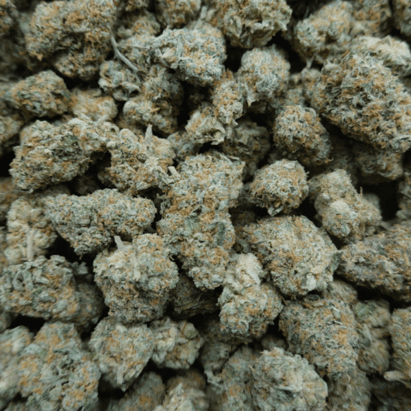 Rainbow Guava Mediums - Image 3