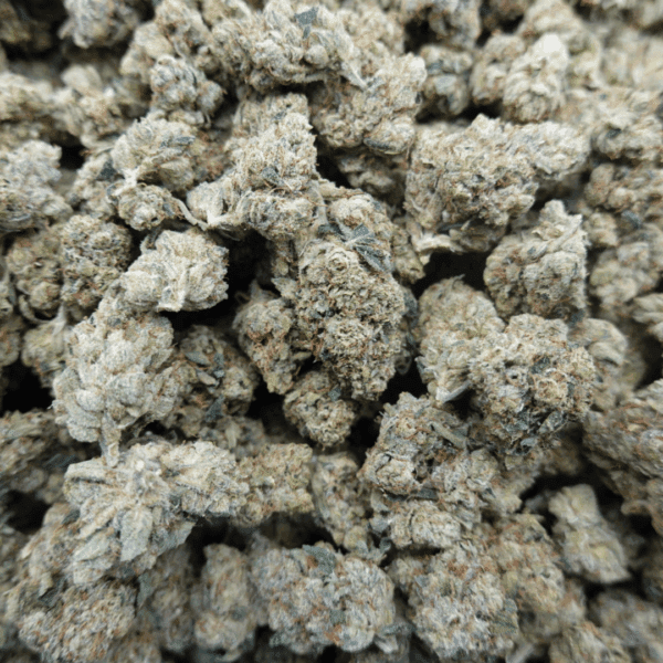 Skywalker Mediums - Image 3