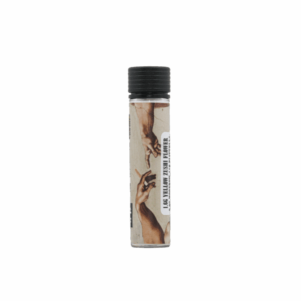 Cannolo - Image 3