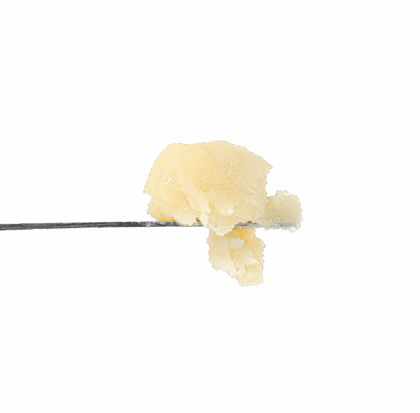 Durban Sherbet Pria x Moroccan Peaches Rosin