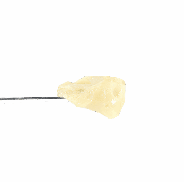 Honey Banana x Grape Gas Rosin