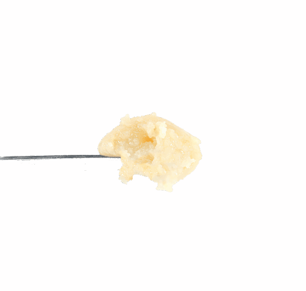 Too Much Papaya Rosin
