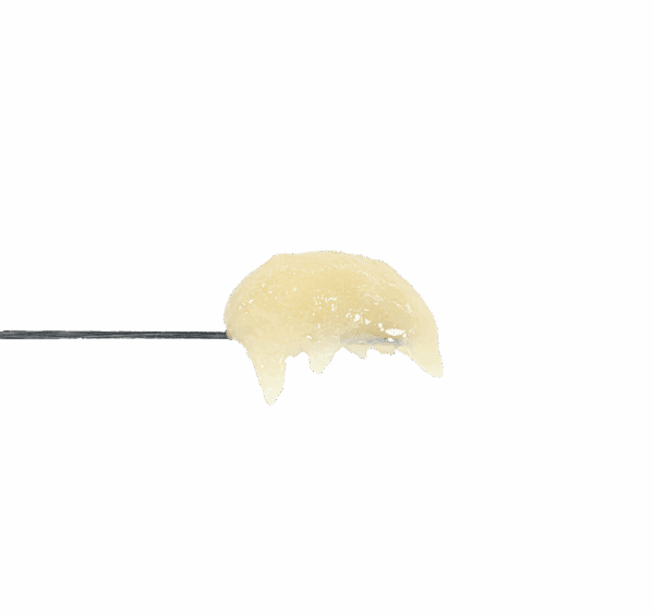 Yellow Mermaid Rosin